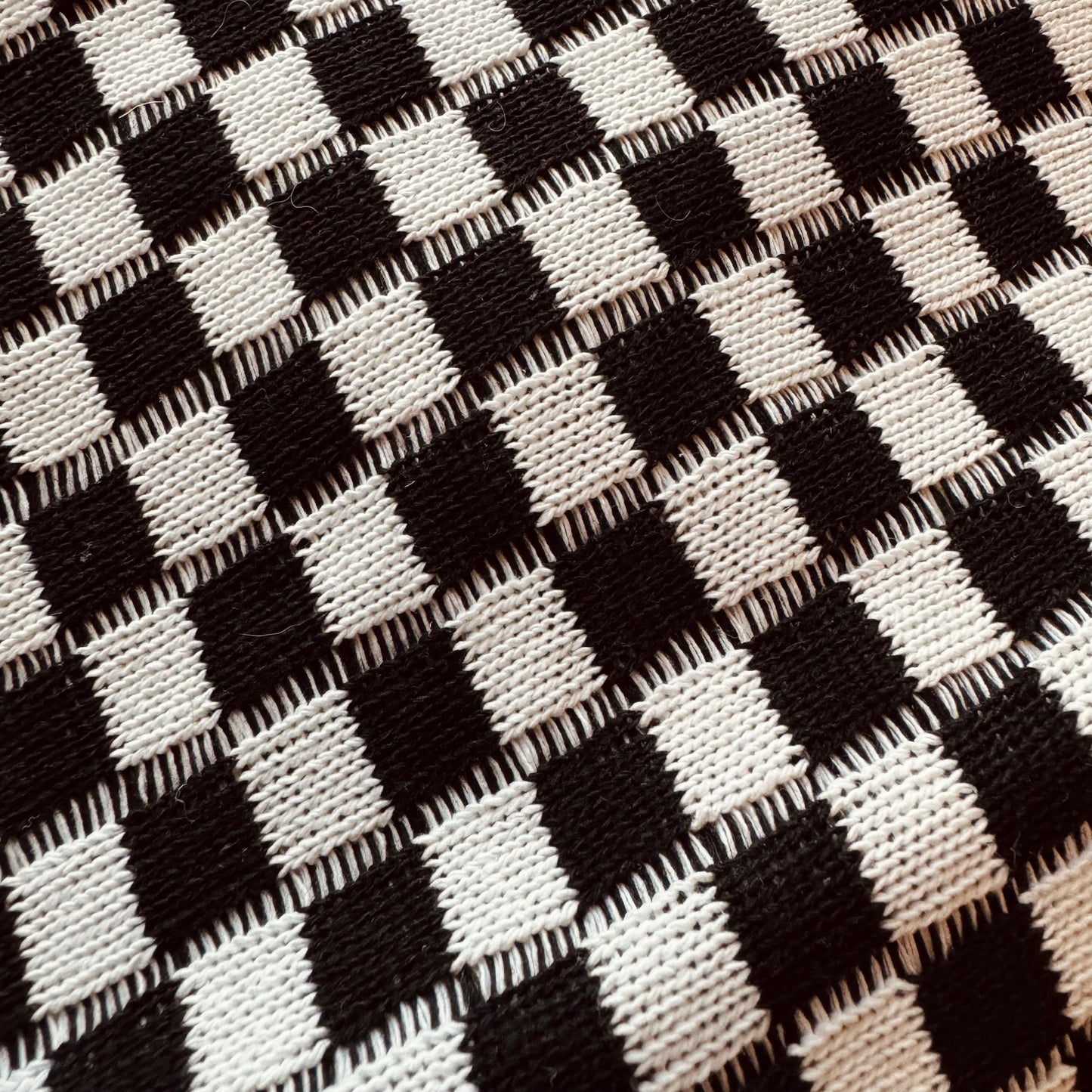 Checkered Cosmetic Bag