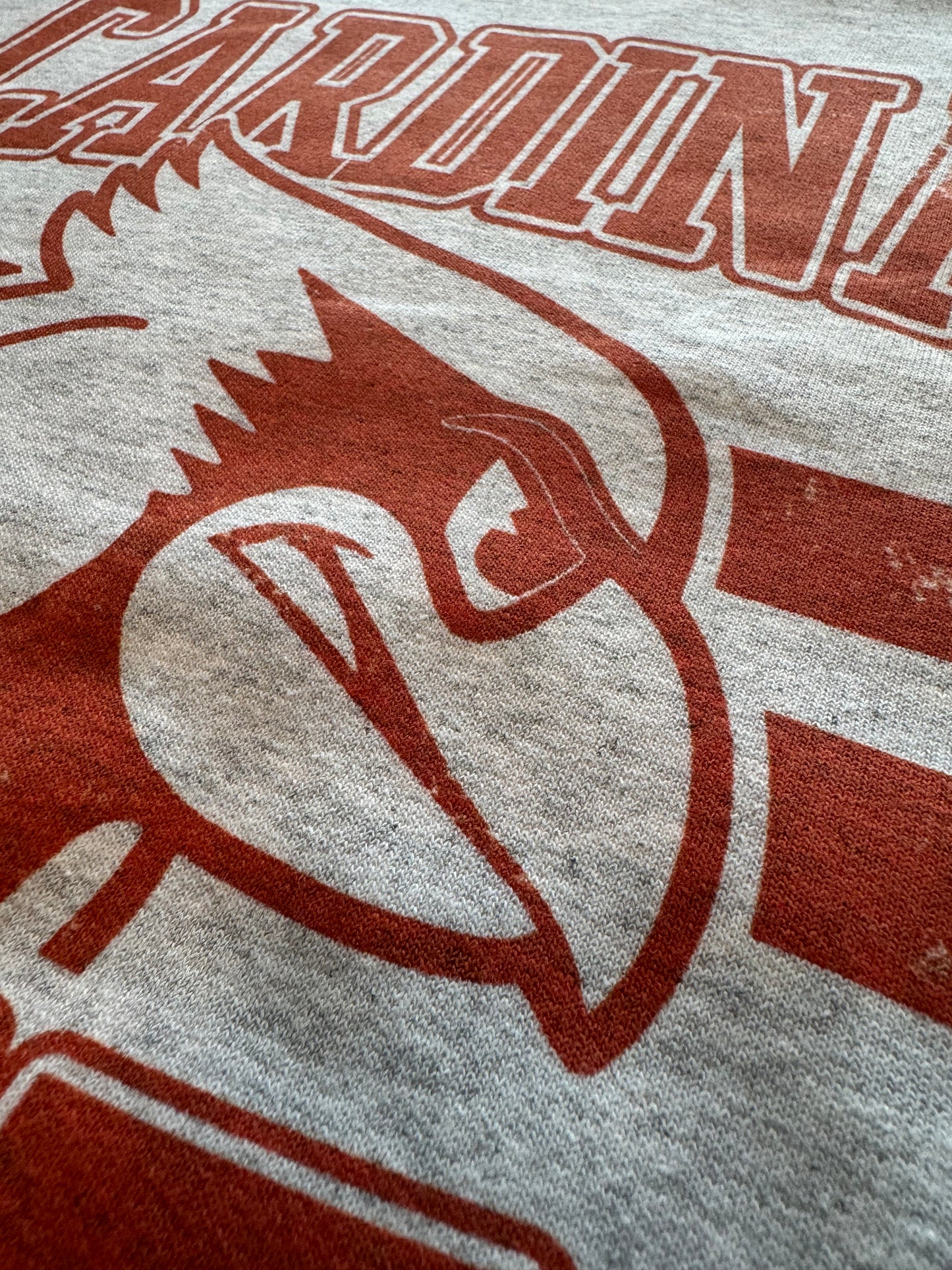 Cardinal Pride Crewneck