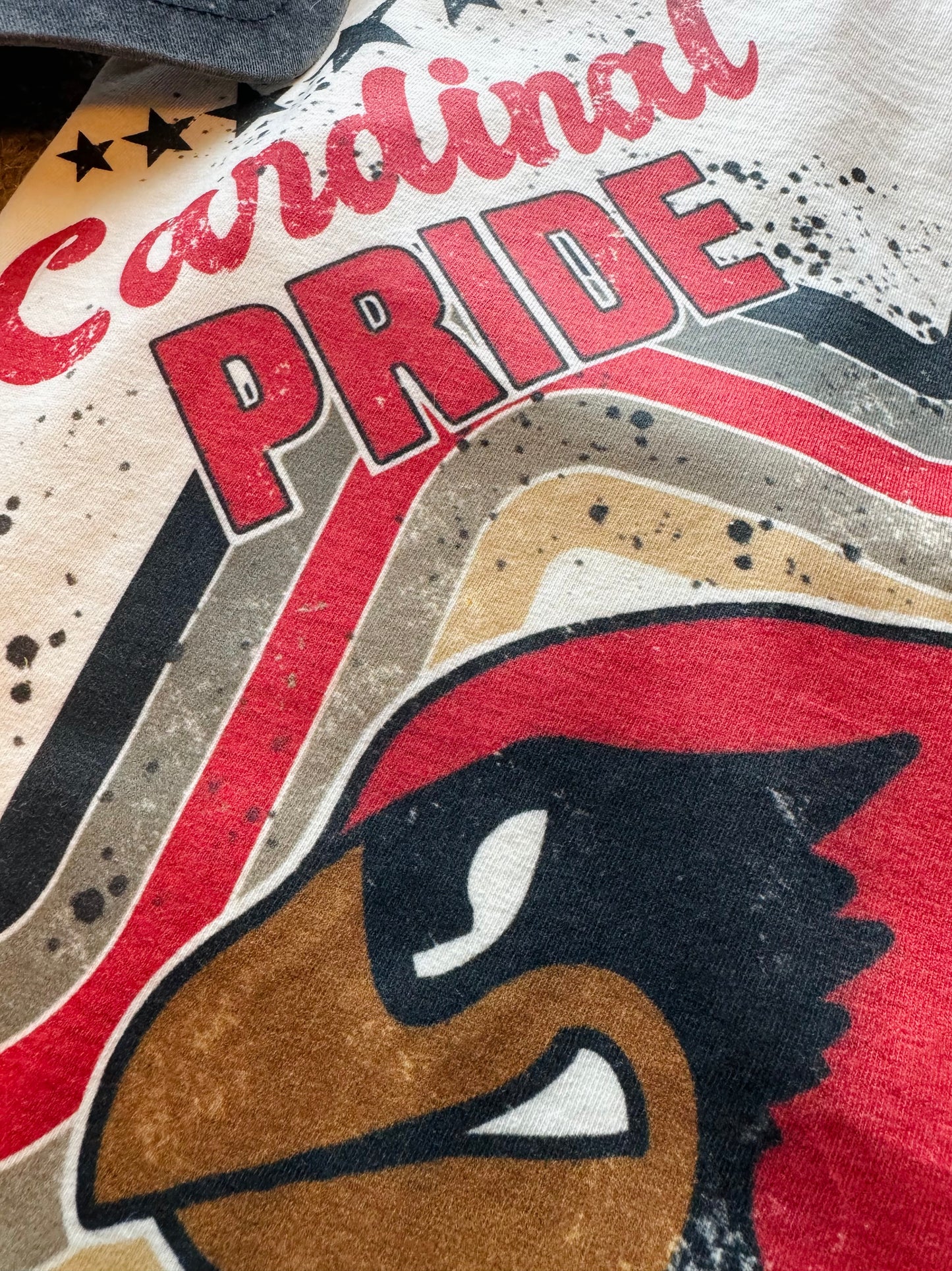 Retro Cardinal Pride Tee