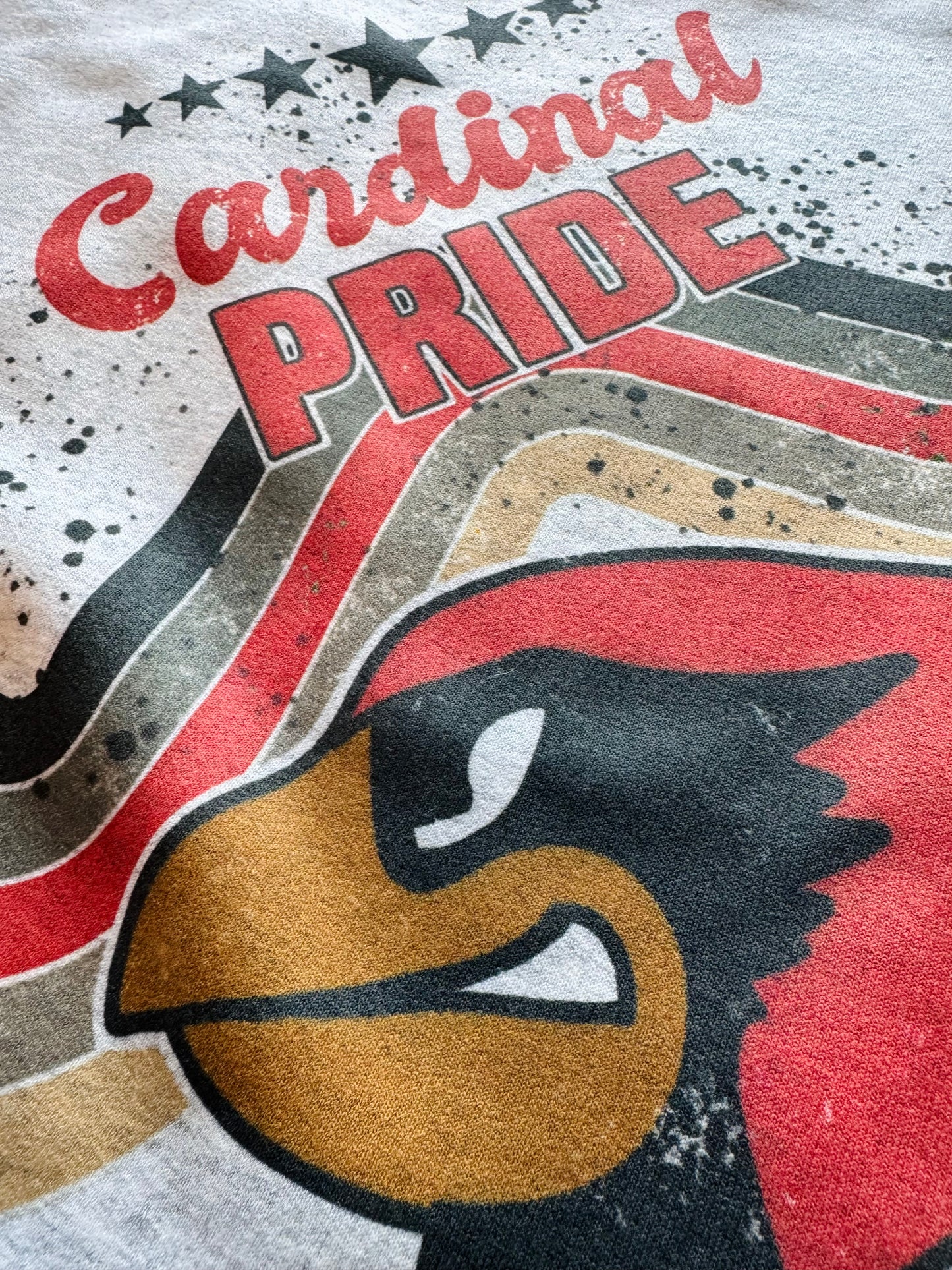 Retro Cardinal Pride Sweatshirt