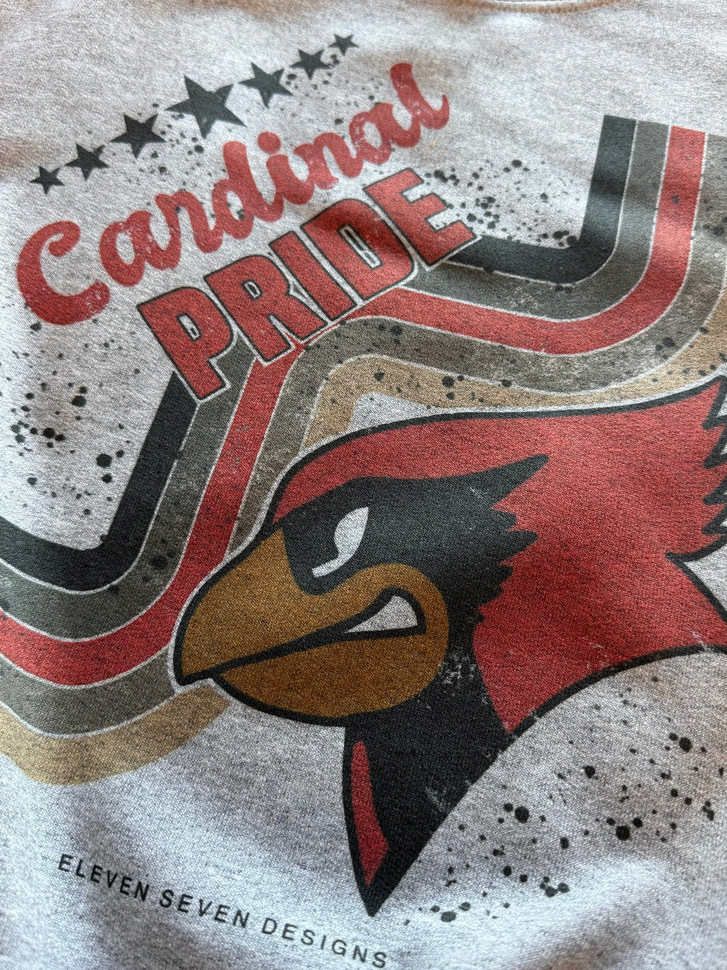 KIDS - Retro Taylor County Cardinal Pride Sweatshirt