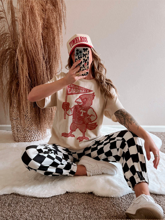 Red Halftone Taylor County Cardinal Vintage Mascot Tee